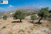 Triopetra Kreta Triopetra Grundstück mit Meerblick in der Nähe von Agios Pavlos und Triopetra Strand Grundstück kaufen